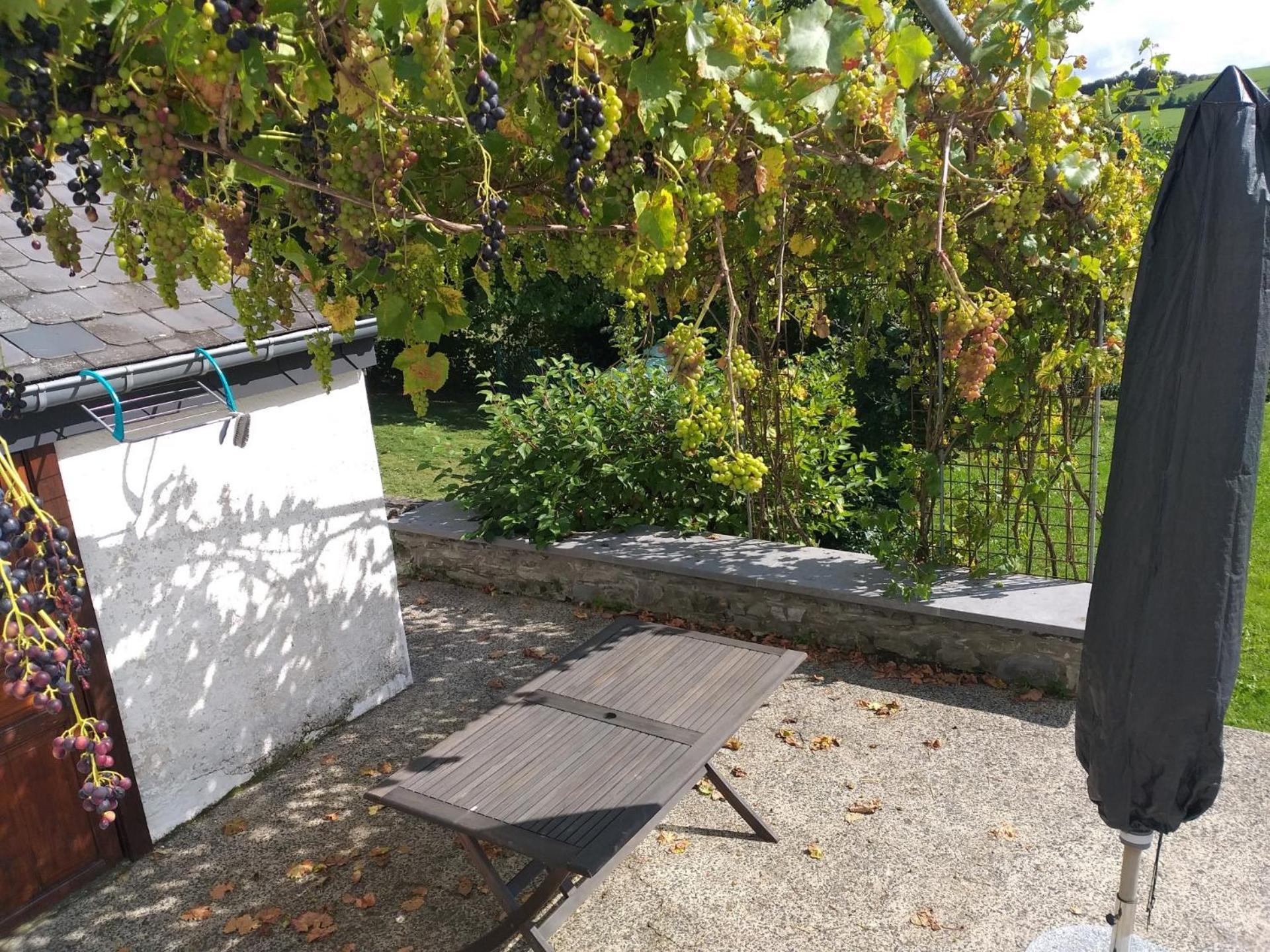 Vila Gite L'Ecole De Ma Mere Bertogne Exteriér fotografie