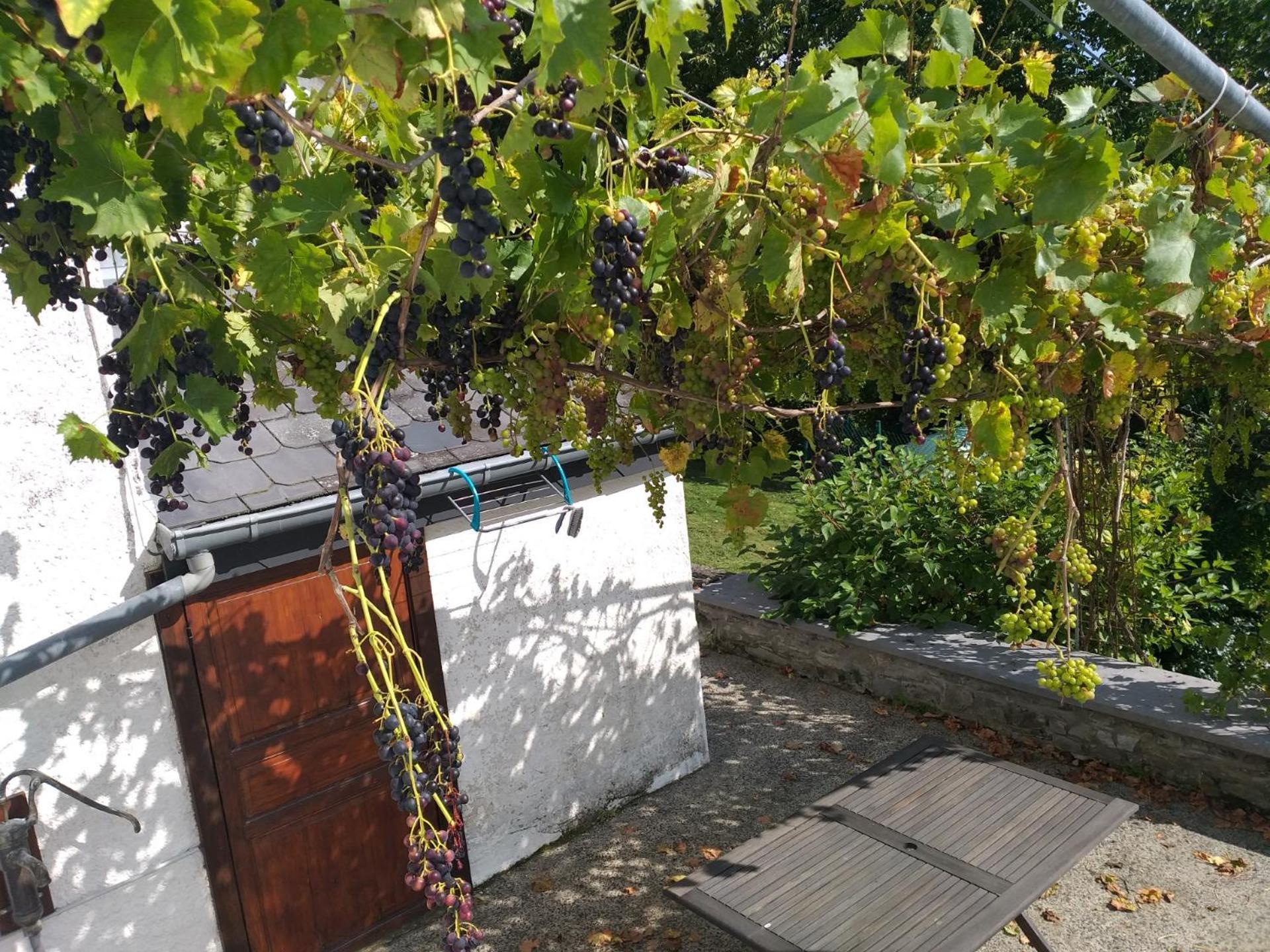 Vila Gite L'Ecole De Ma Mere Bertogne Exteriér fotografie