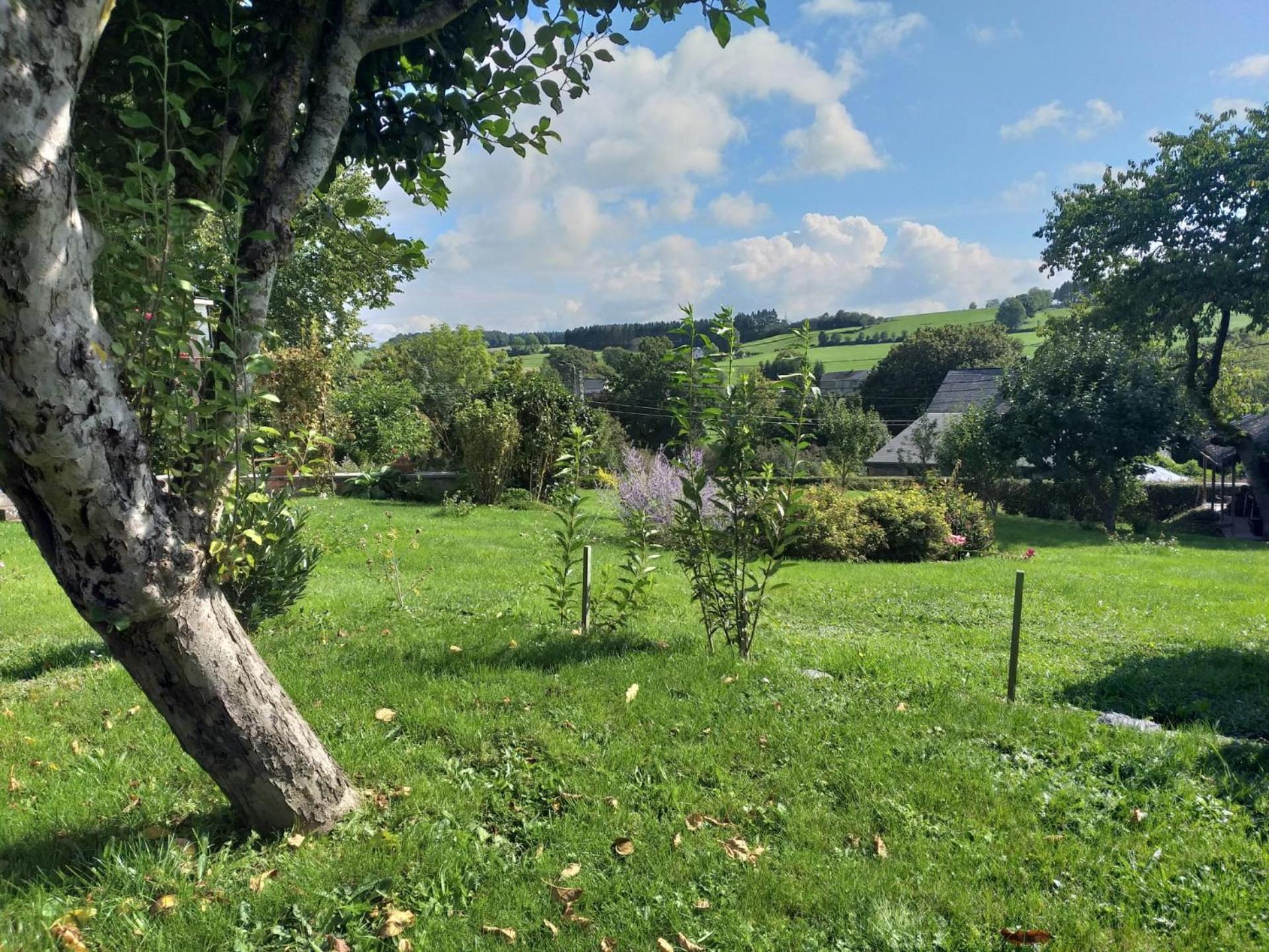 Vila Gite L'Ecole De Ma Mere Bertogne Exteriér fotografie